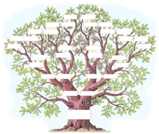 Cet arbre millénaire
