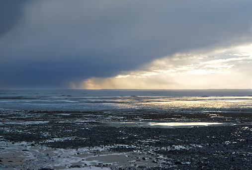 Et les Verbes sont si chers !