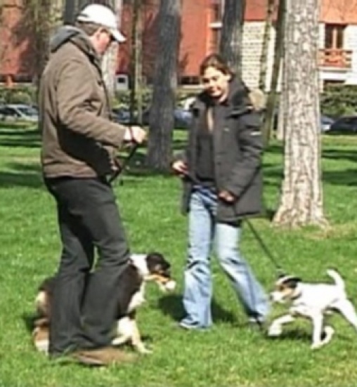 La laisse et le lien, sonnet