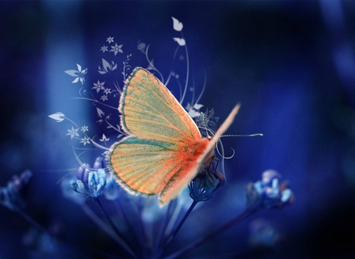 Quand tu les pleures